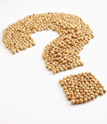 Supply Chain Scene, image of soybeans in shape of a question mark