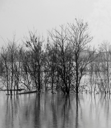 Supply Chain Scene, image of a flooded rural area 