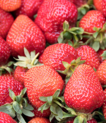 Image of a pile of fresh strawberries 