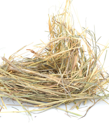 pile of fresh hay 