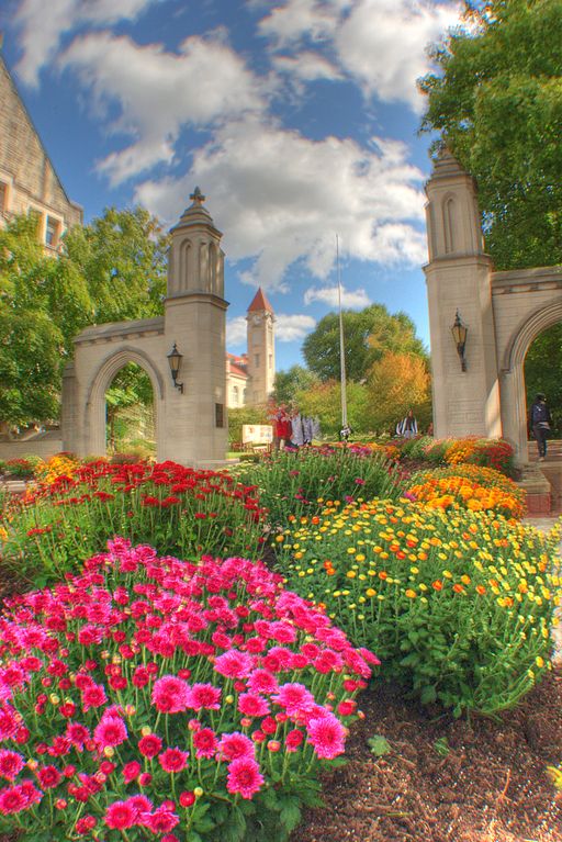 The gates at Indiana University with pink and yellow flowers