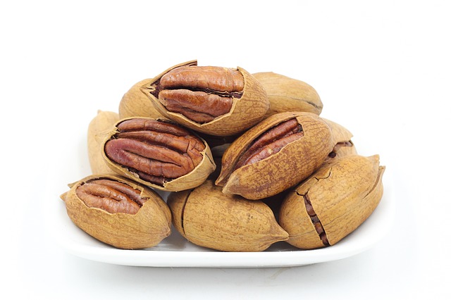 Pecans half in shell with white background
