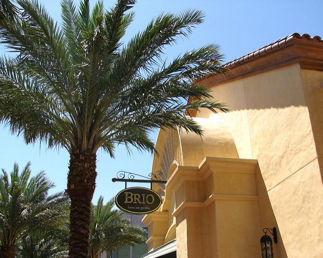Small Brio Tuscan Grille sign in front of stucco restaurant with large palm tree