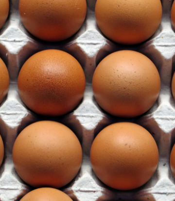 Supply Chain Scene, image of brown eggs 