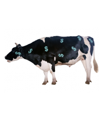 Supply Chain Scene, image of a cow with dollar signs on it 