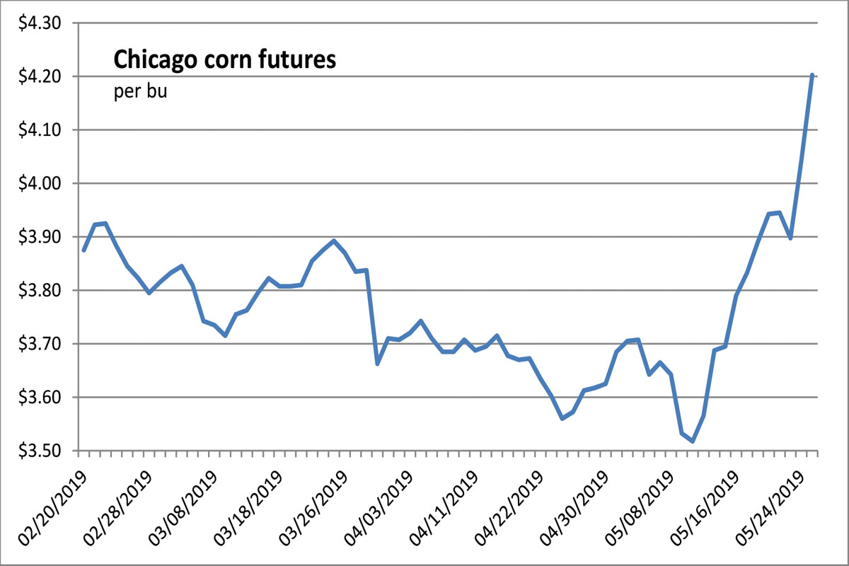 Supply Chain Scene, graph of Chicago corn futures 