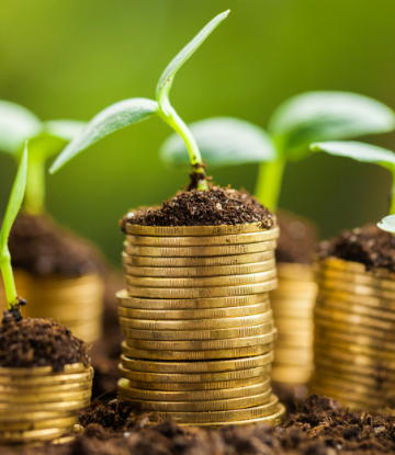 Supply Chain Scene, image of plants growing out of money