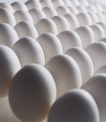 Supply Chain Scene, image of eggs 