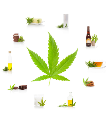 Supply Chain Scene, image of cannabis leaf and edible products made with it