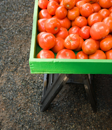 Supply Chain Scene, image of a green cart full of fresh tomatoes 