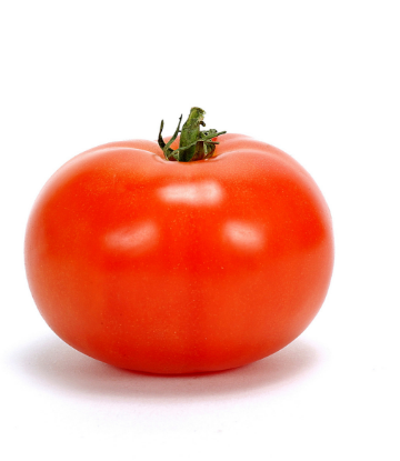 Supply Chain Scene, image of a single tomato