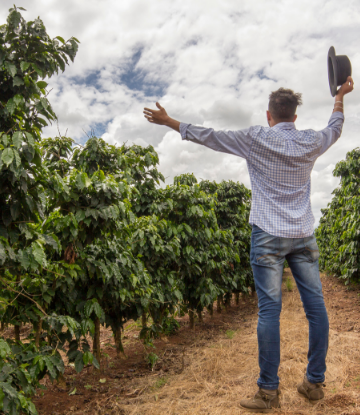 Supply Chain scene, image of a coffee grower with arms raised and hat off, in the field 