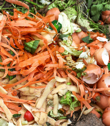 Supply Chain Scene, image of food scraps as waste 