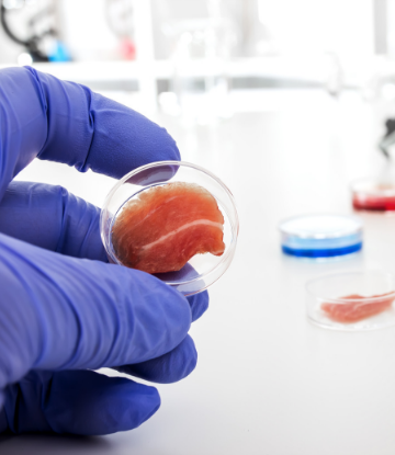 Supply Chain Scene, image of gloved hands making meat in a laboratory 