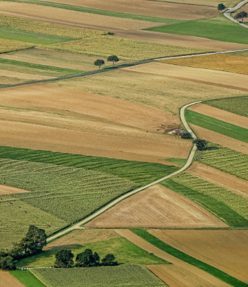 SCS, overhead image of green crop fields in the midwest US 