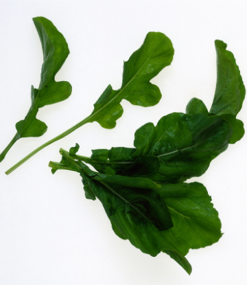 Image of fresh arugula 