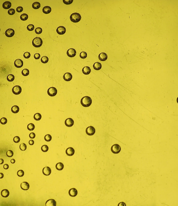 SCS, image of carbonation bubles in a yellow beverage 