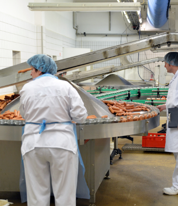 SCS image of workers processing sausages in a plant 