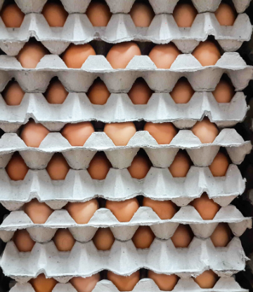 SCS, image of stacked cartons of eggs for foodservice 