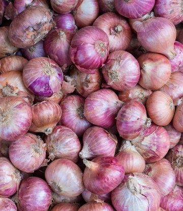 SCS, image of a pile of red onions 