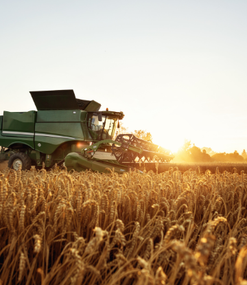 Image of combine in a wheat field 