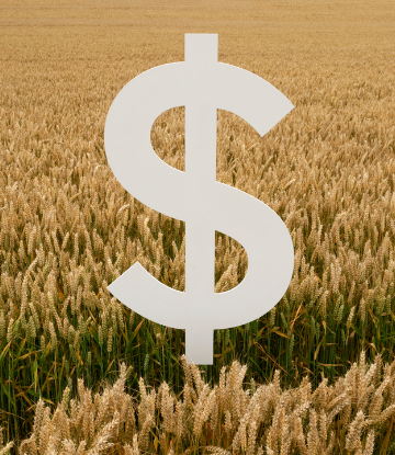 Giant dollar sign graphic in front of a field of grain 
