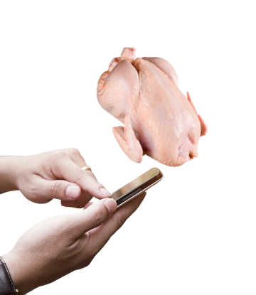 Image of a hand using an iphone with a whole chicken floating above it