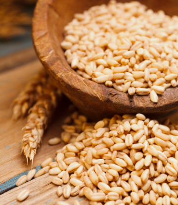 Image of a bowl of white wheat as a grain 