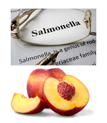 Image of a cut peach with the word SALMONELLA above 