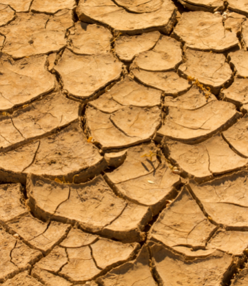 Image of severely dried out land 