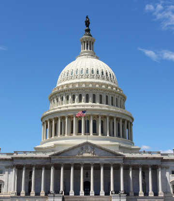 Image of the US Capitol building 