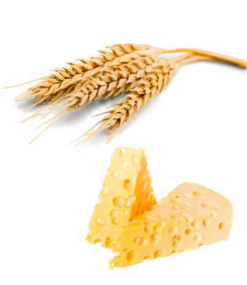 Image of fresh wheat and a chunk of cheese 
