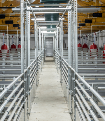 Image of hog containment pens 