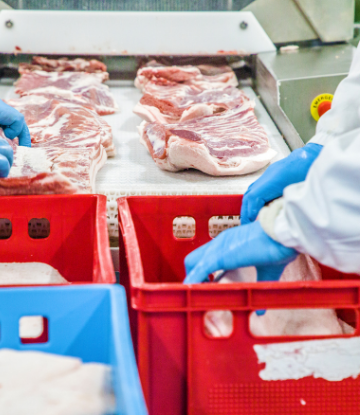 Image of meat processing line 