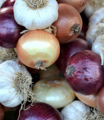 red white and yellow onions in a pile