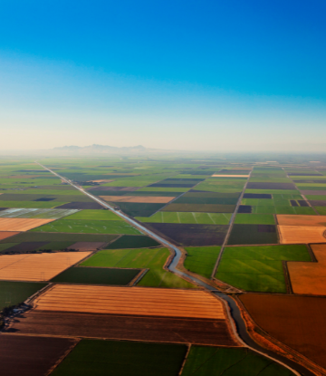 overhead shot of farm fields