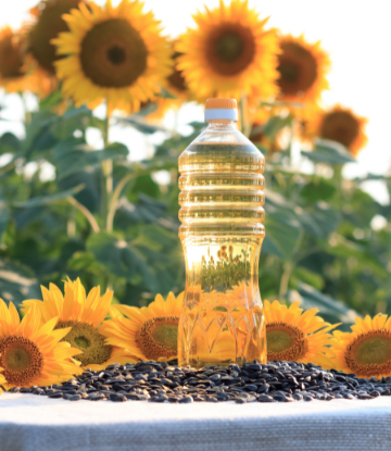 sunflowers and sunflower oil
