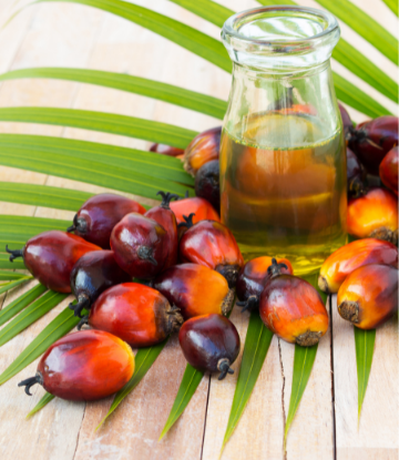 Palm oil 