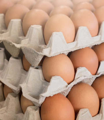 commercial fresh eggs