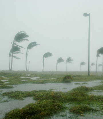 image of hurricane aftermath 