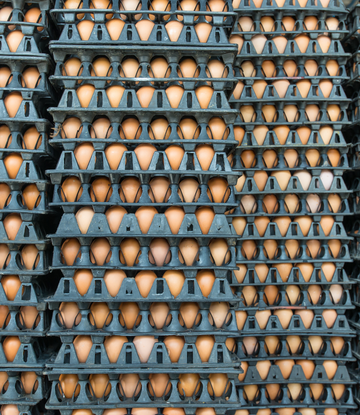 eggs stacked in crates 