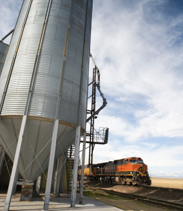 grain and a train 