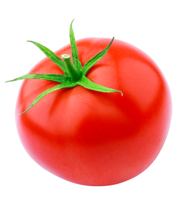 fresh red tomato 
