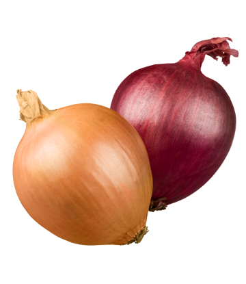 red and yellow onions 