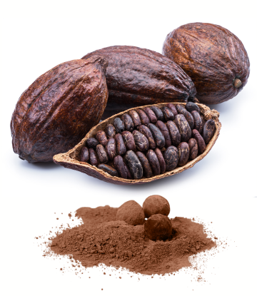 Cocoa pod and powder