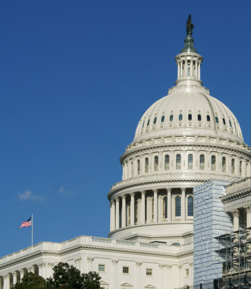 Image of the capitol building 