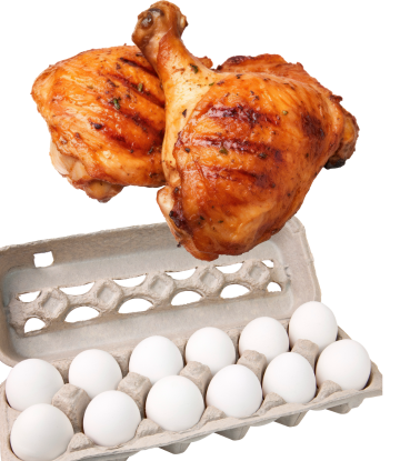Eggs and cooked chicken 