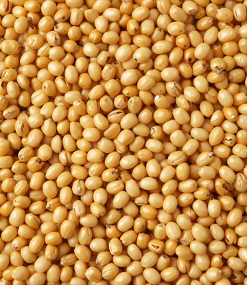 Soybeans