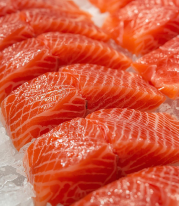Fresh salmon filets