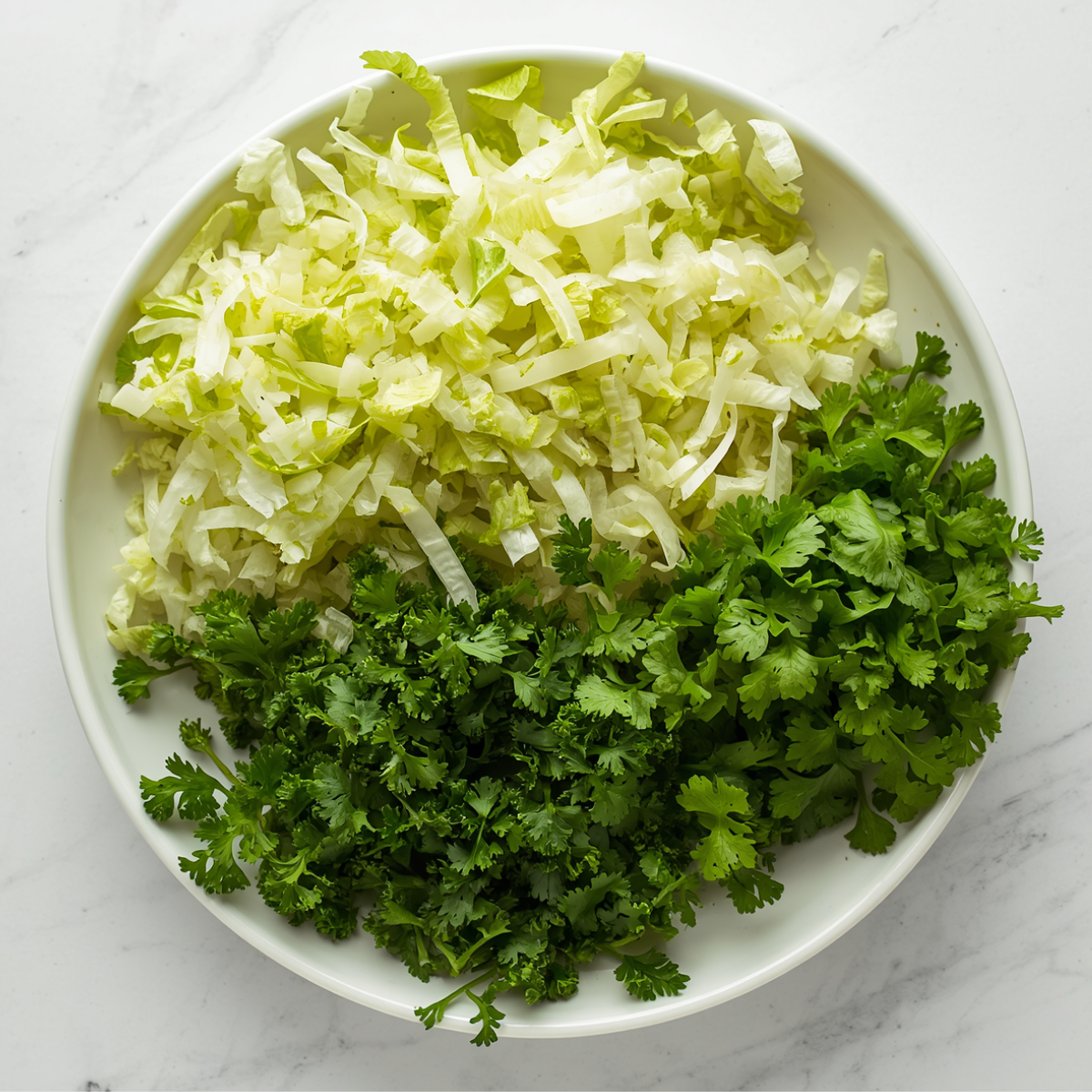 Shredded lettuce and cilantro 